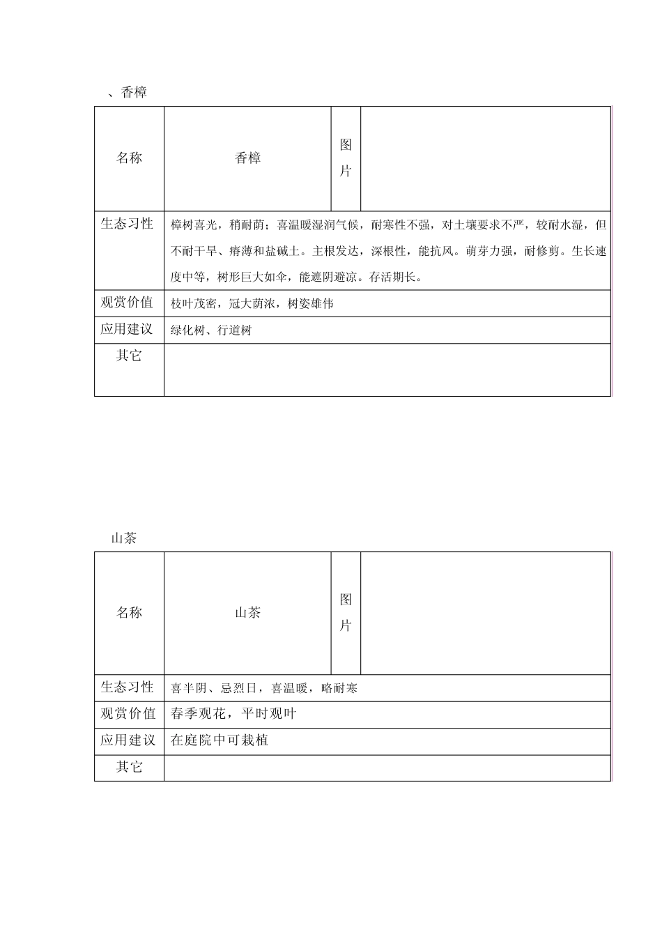 常见常绿乔木、落叶乔木、攀岩植物、水生植物、地被植物的生态习性、观赏价值、应用价值_第2页