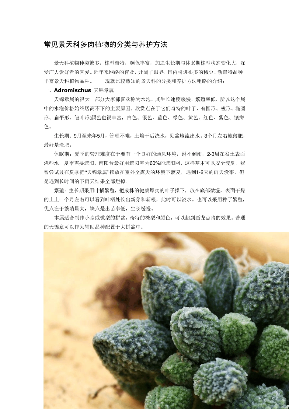 常见景天科多肉植物的分类与养护方法_第1页