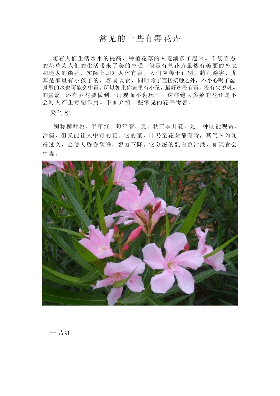 常见有毒盆景_第1页