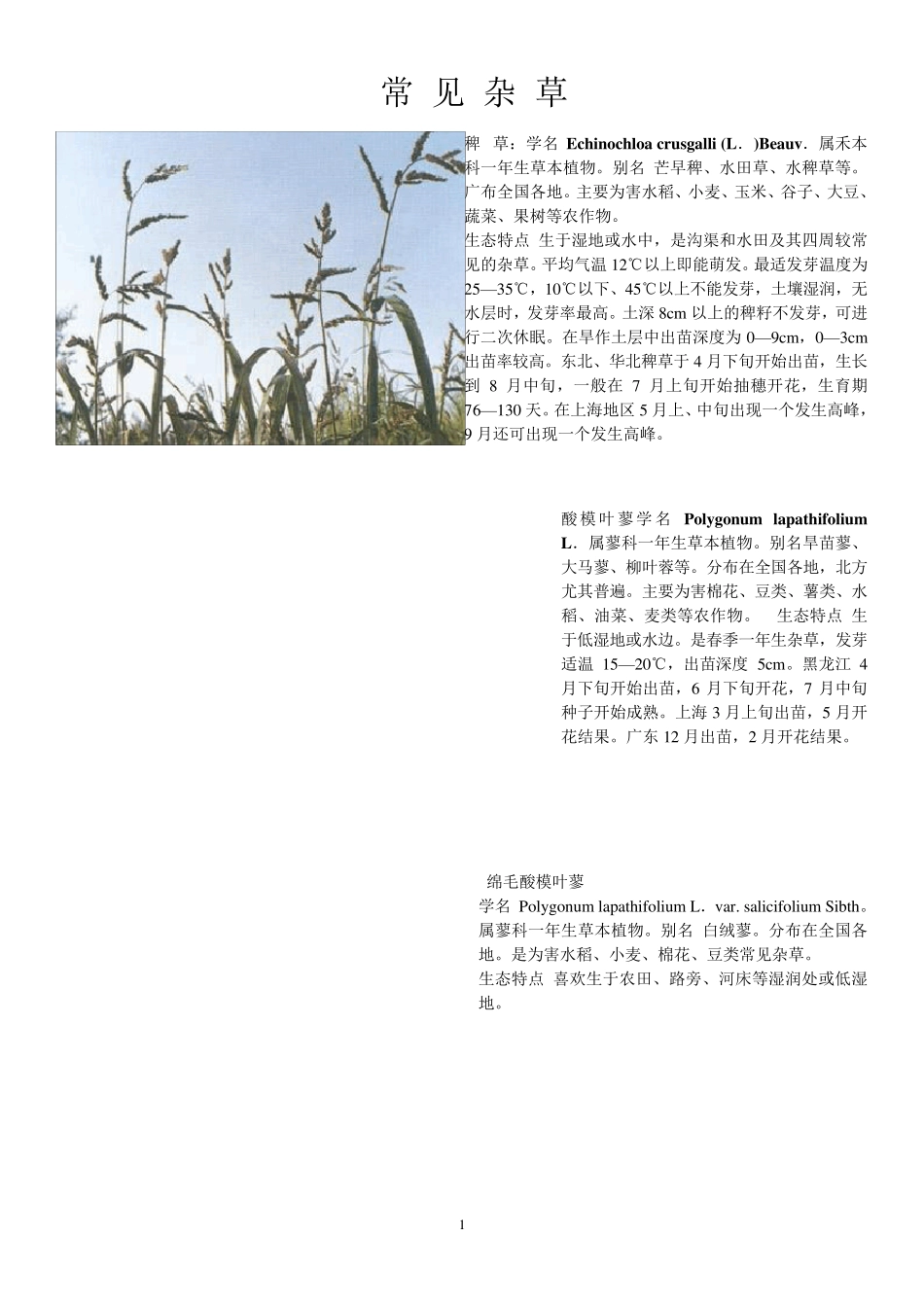 常见杂草大全(修正2)_第1页