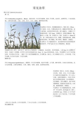 常见杂草大全