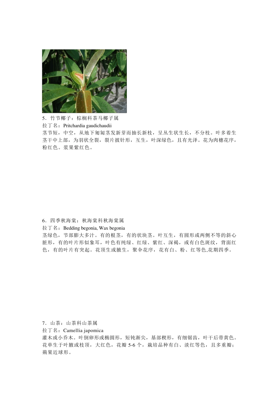 常见植物分类_第2页