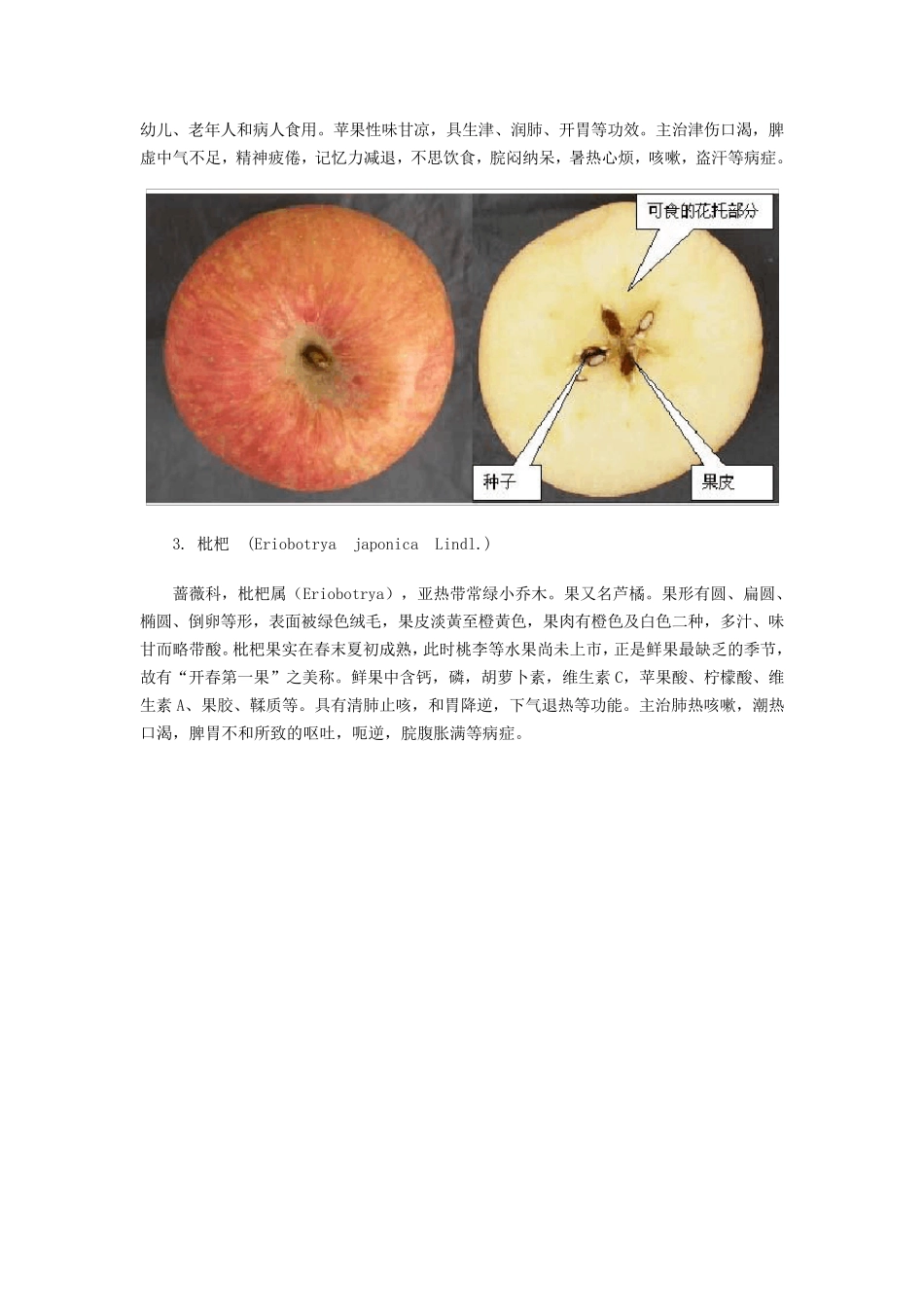 常见水果果实食用部分_第2页