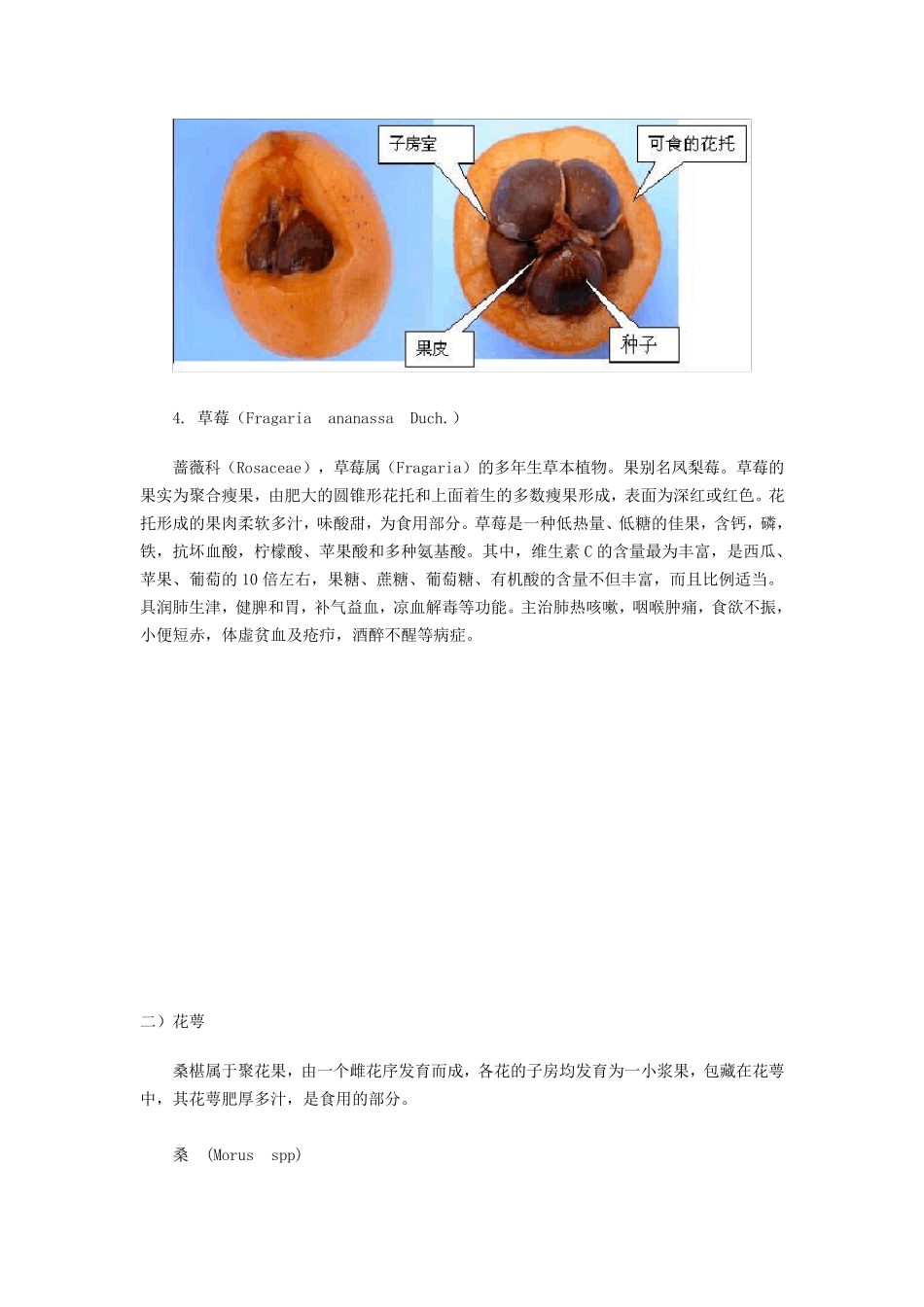 常见水果果实食用部分_第3页