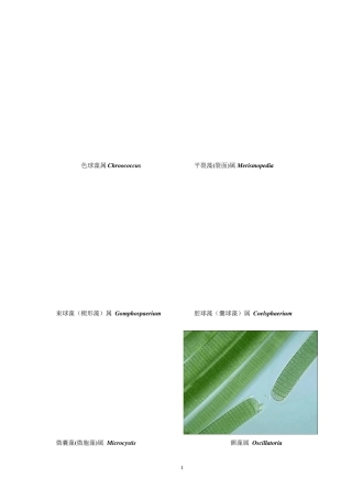 常见水生生物彩色图谱正文