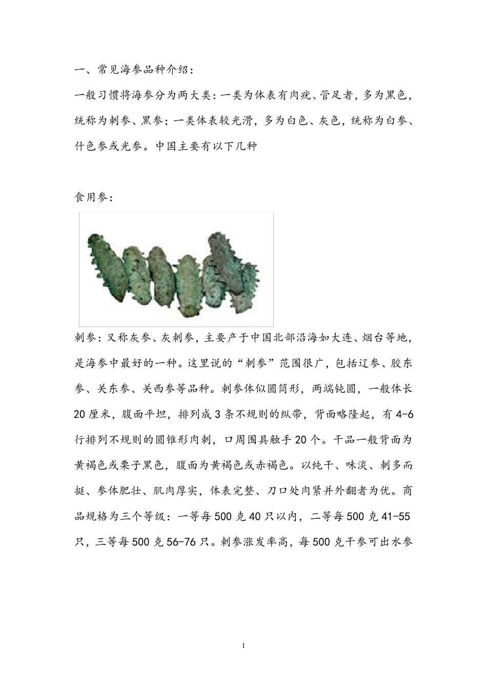 常见海参品种介绍(附图)_第1页