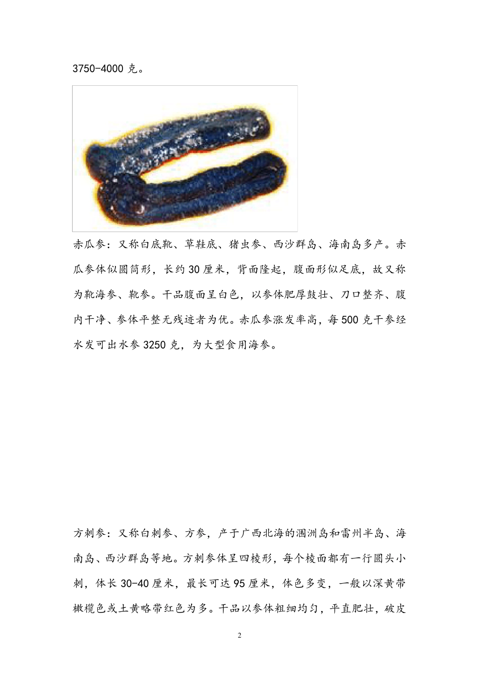 常见海参品种介绍(附图)_第2页