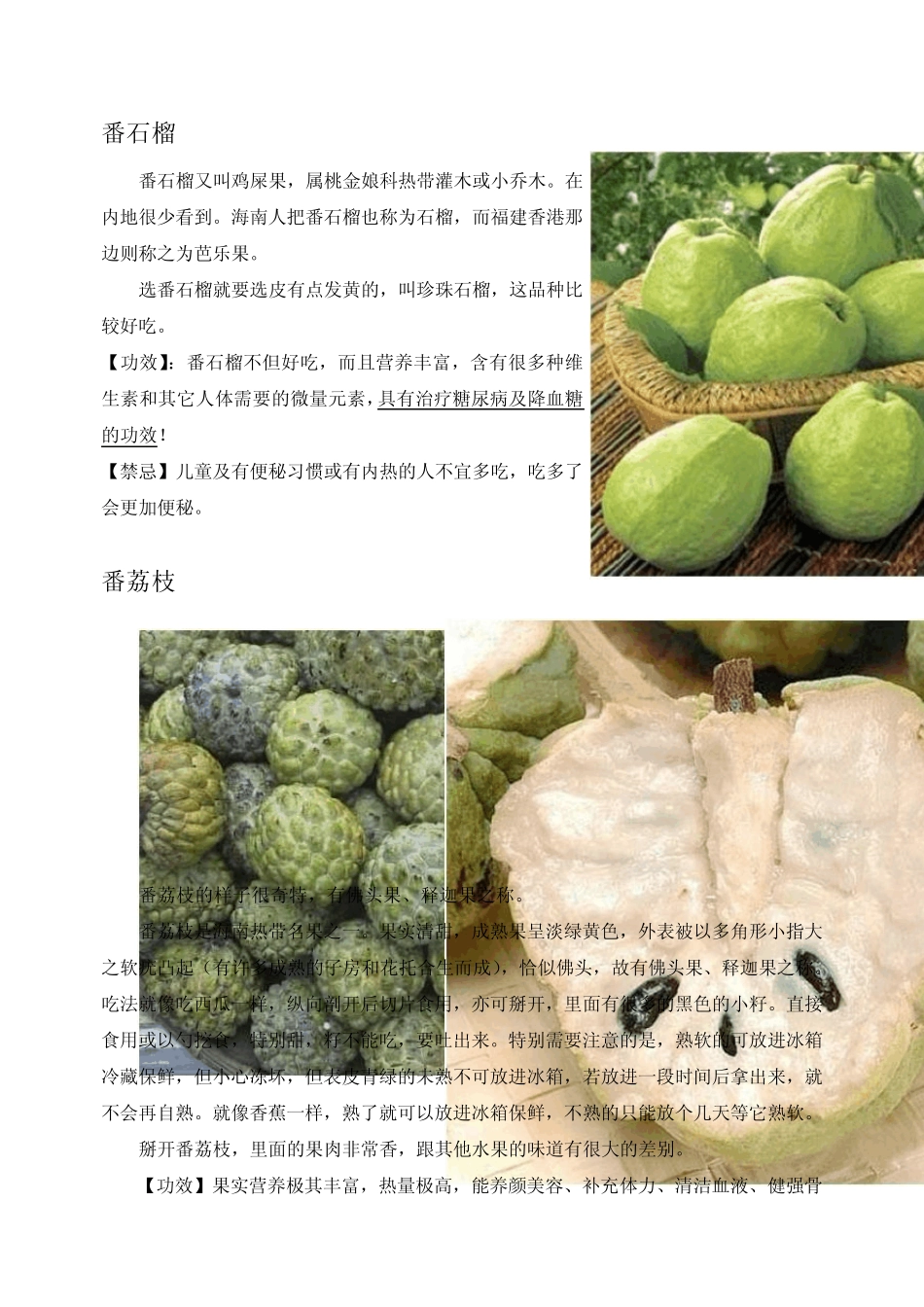 常见海南水果属性及功效c_第2页