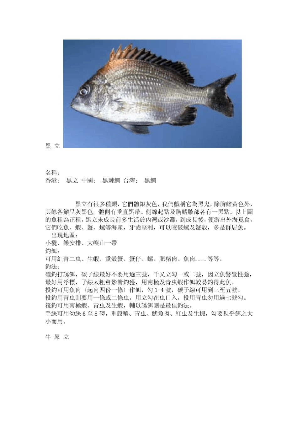 常见海鱼及钓法_第1页