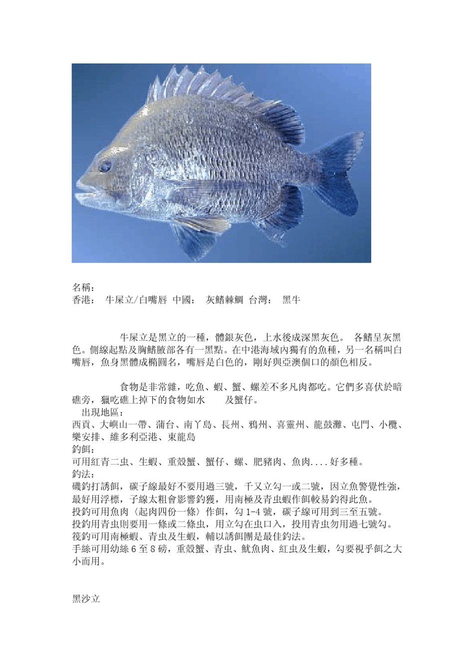 常见海鱼及钓法_第2页