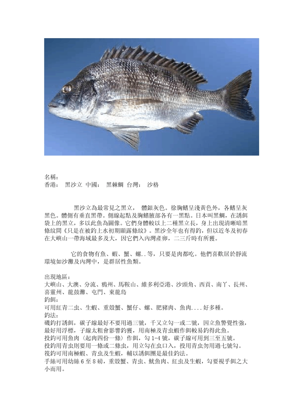 常见海鱼及钓法_第3页