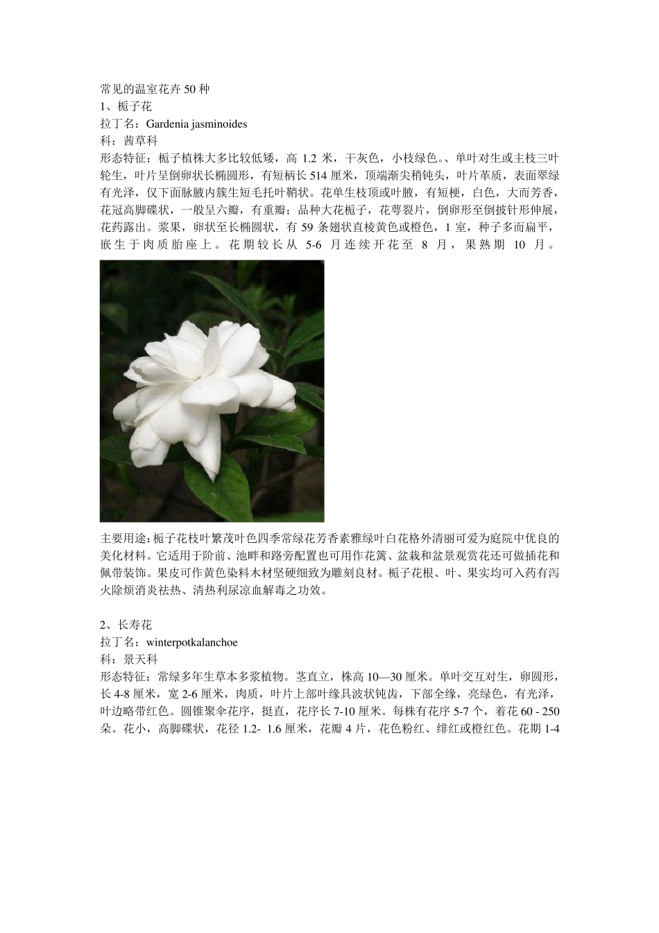 常见温室花卉50种_第1页