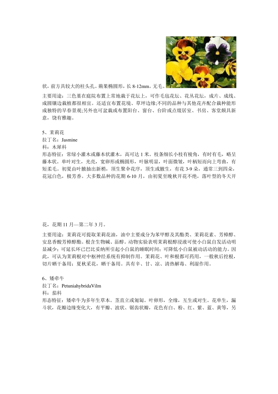常见温室花卉50种_第3页