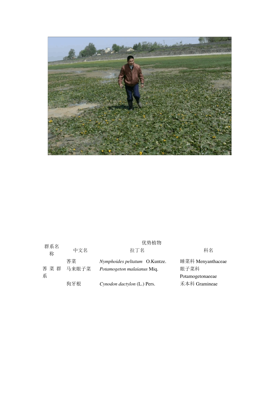 常见湖泊湿地植物群系_第2页