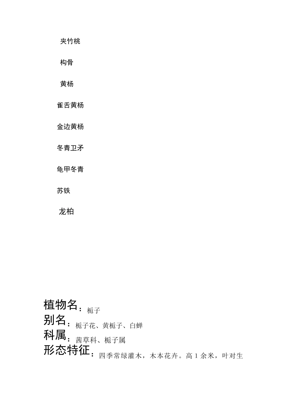 常见灌木植物_第2页