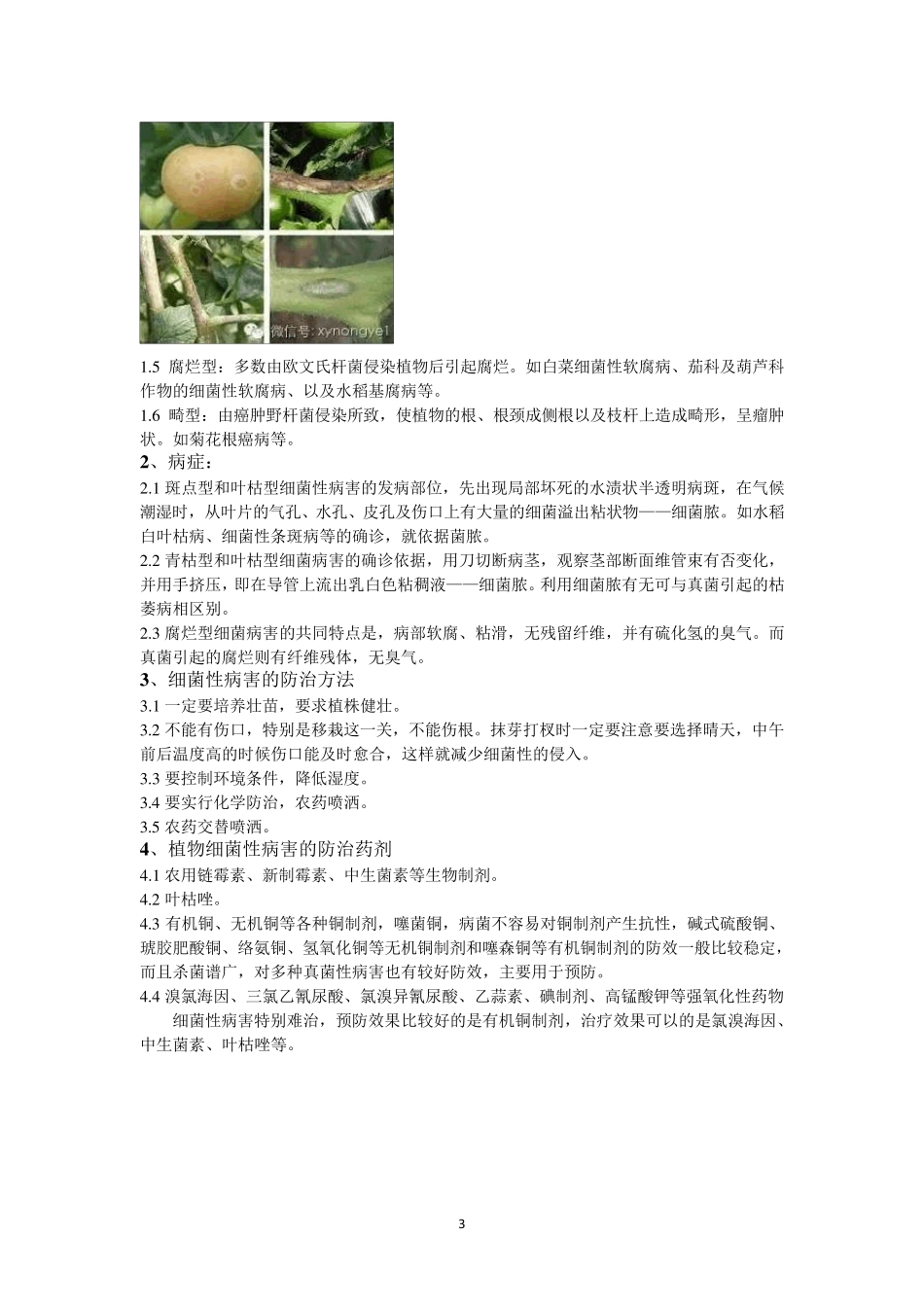 常见病虫害分类与防治办法_第3页