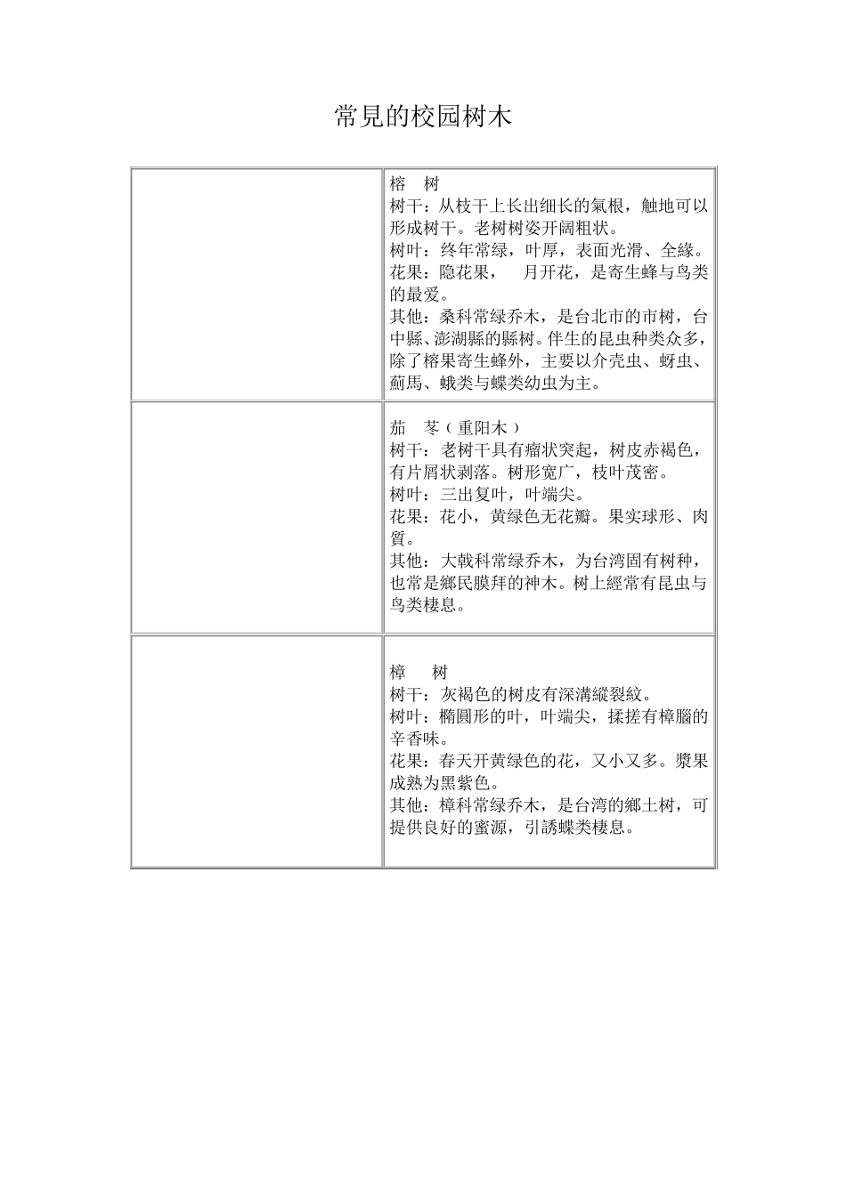 常见的校园树木_第1页