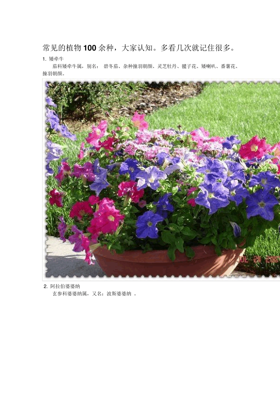 常见的植物100余种_第1页