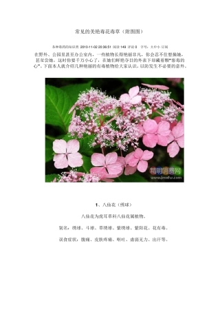 常见的美艳毒花毒草
