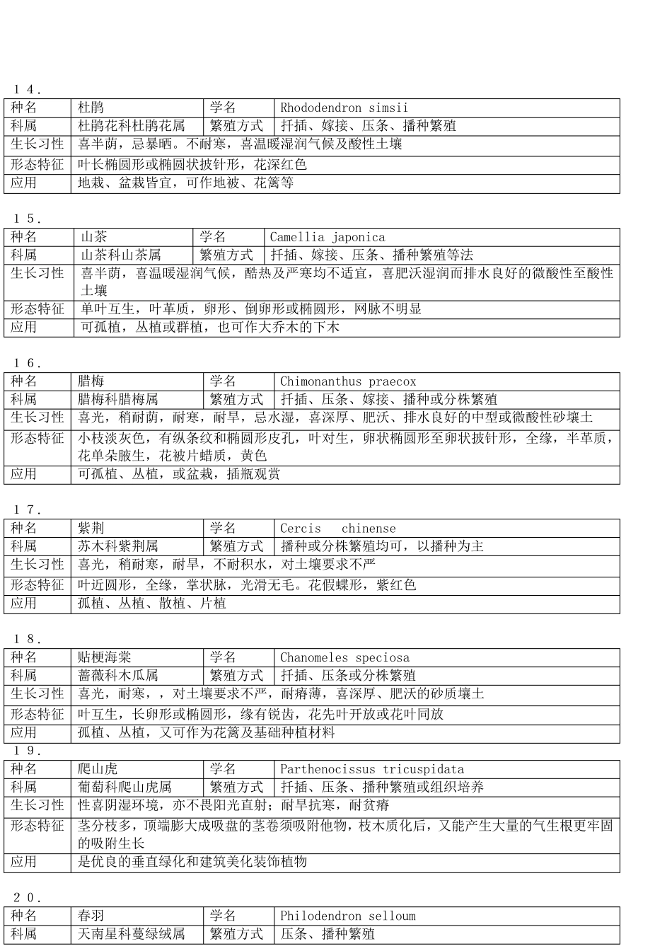常见的观赏植物40种_第3页