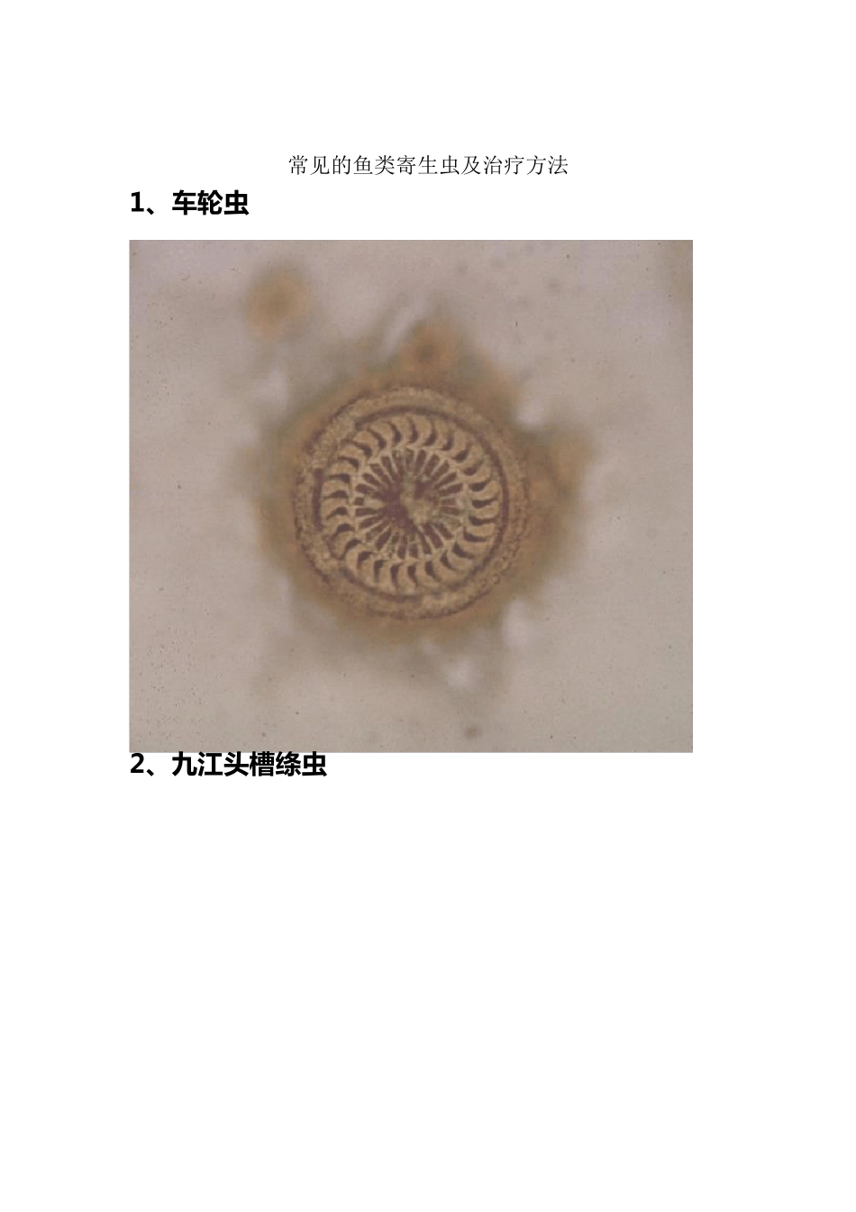 常见的鱼类寄生虫_第1页