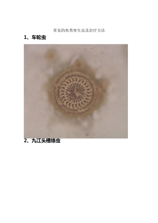 常见的鱼类寄生虫