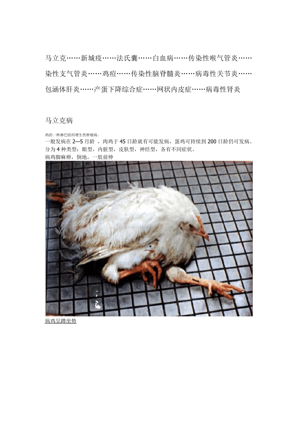 常见禽病图谱_第1页