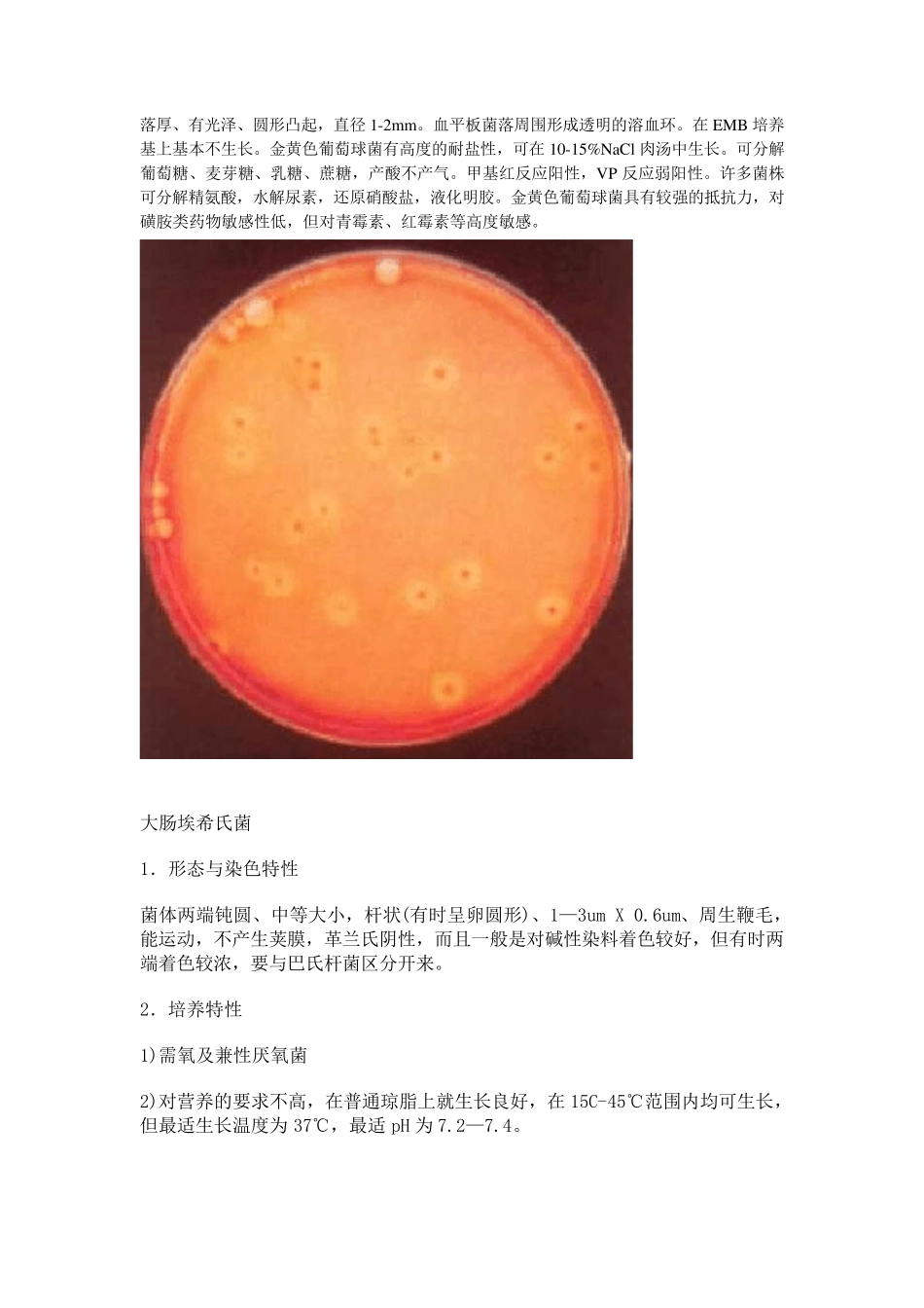 常见细菌及图片_第2页