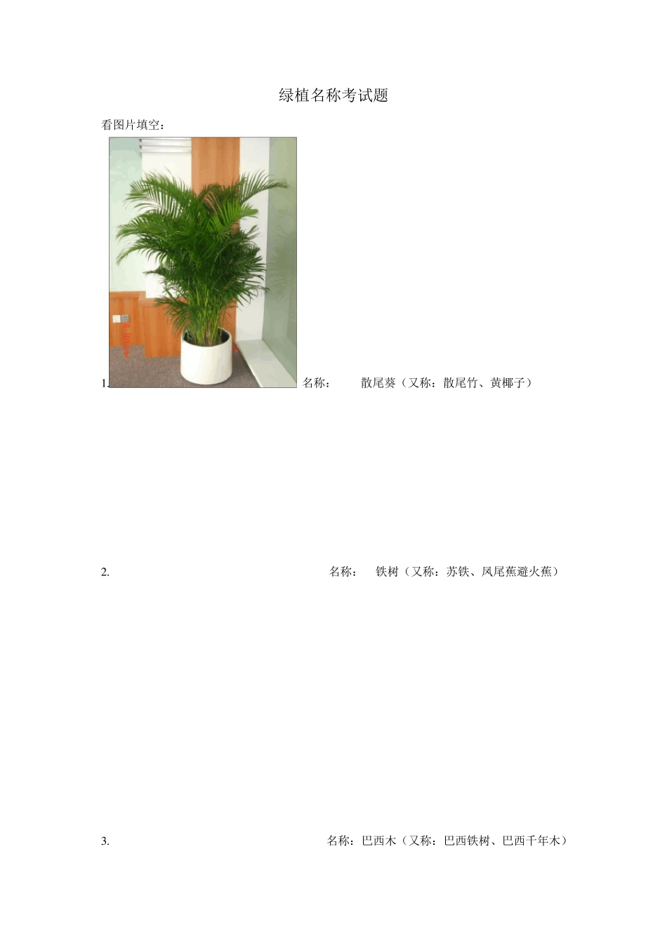 常见绿植名称_第1页