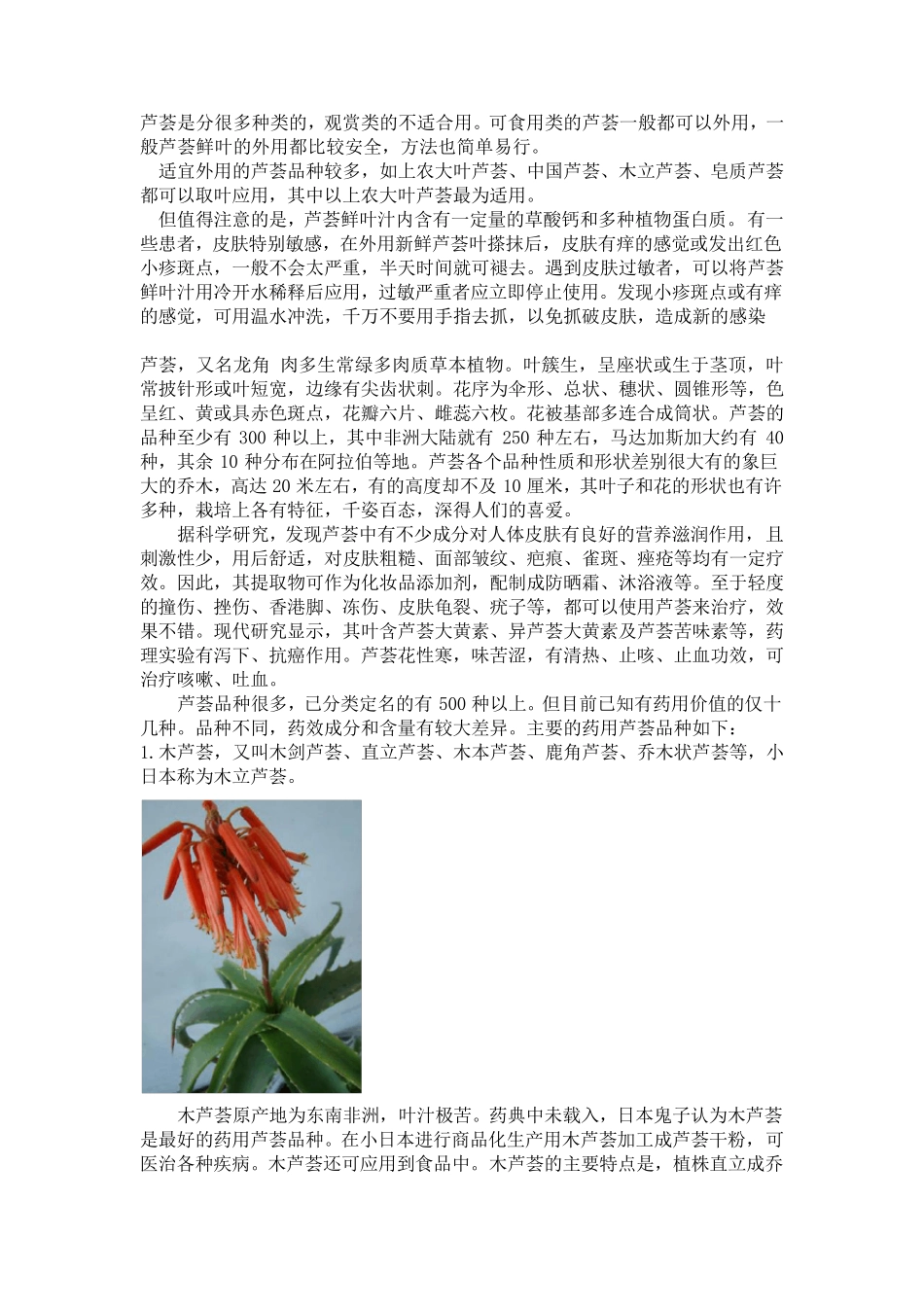 常见芦荟品种图片及相关简介_第1页