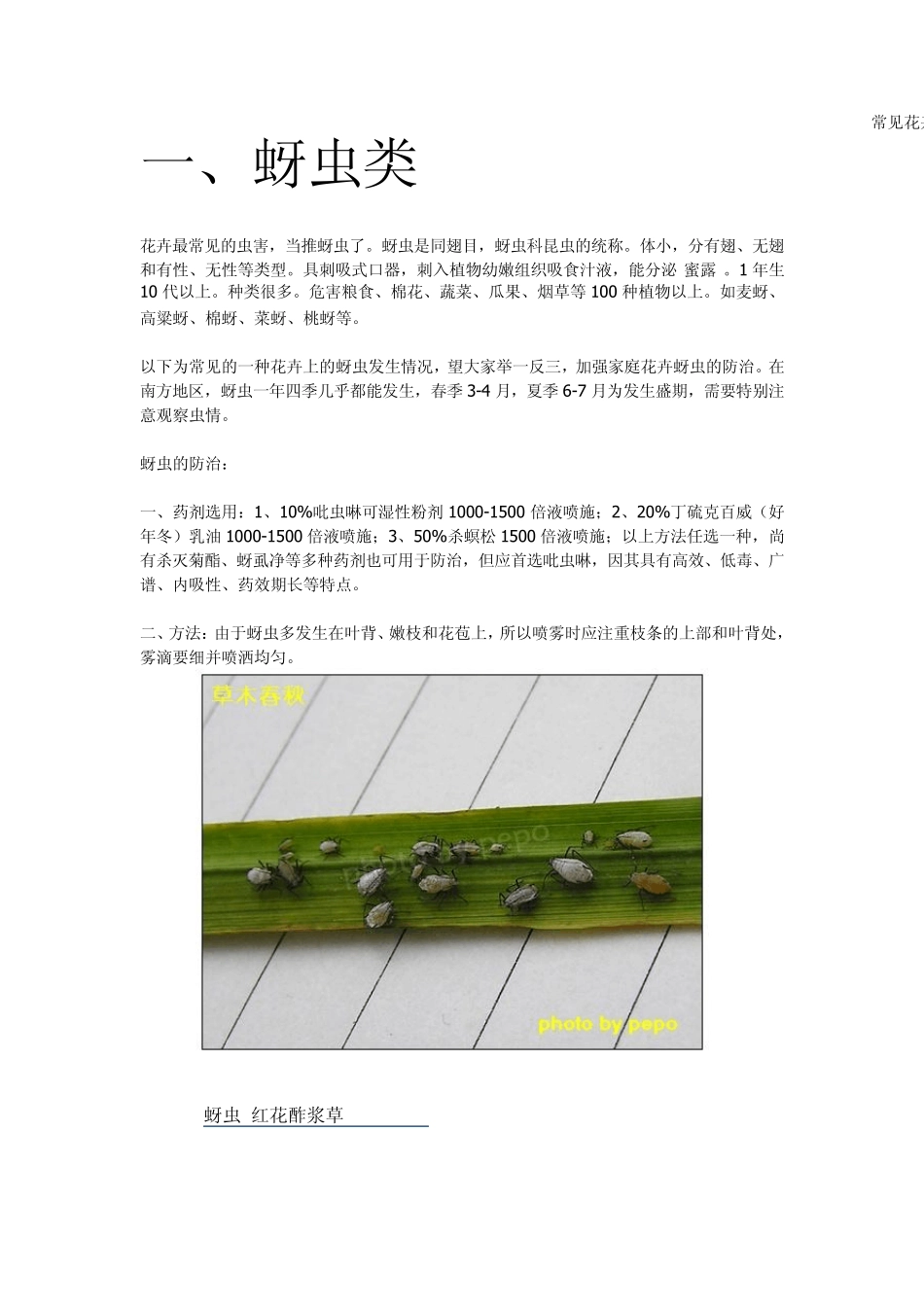常见花卉虫害图谱_第1页