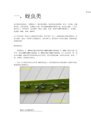 常见花卉虫害图谱