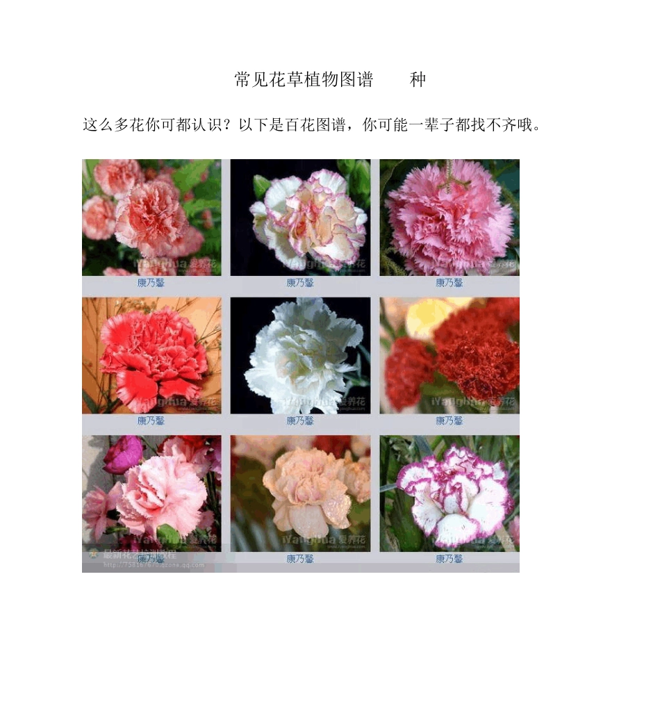 常见花草植物图谱600种_第1页