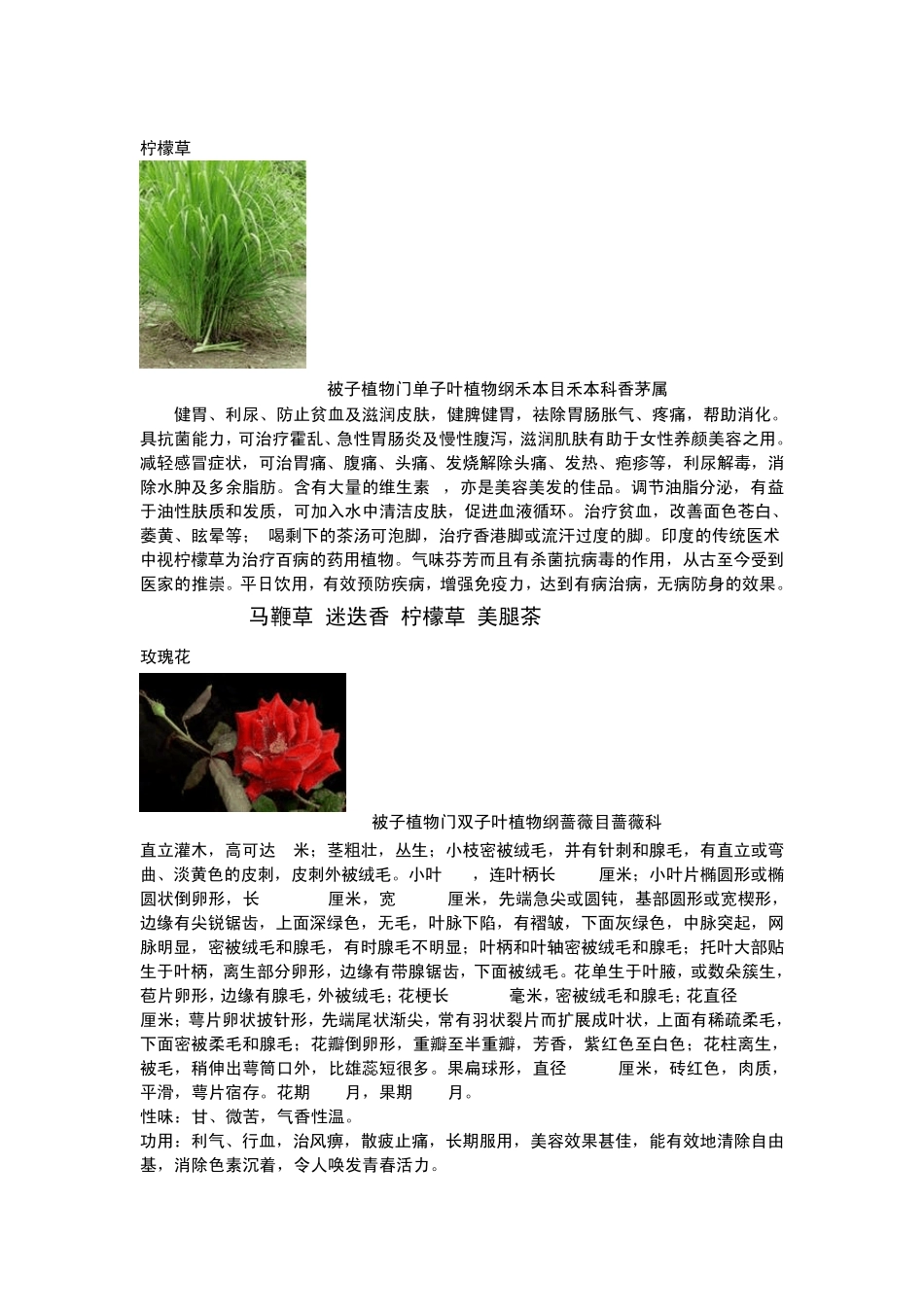 常见药用植物介绍_第2页