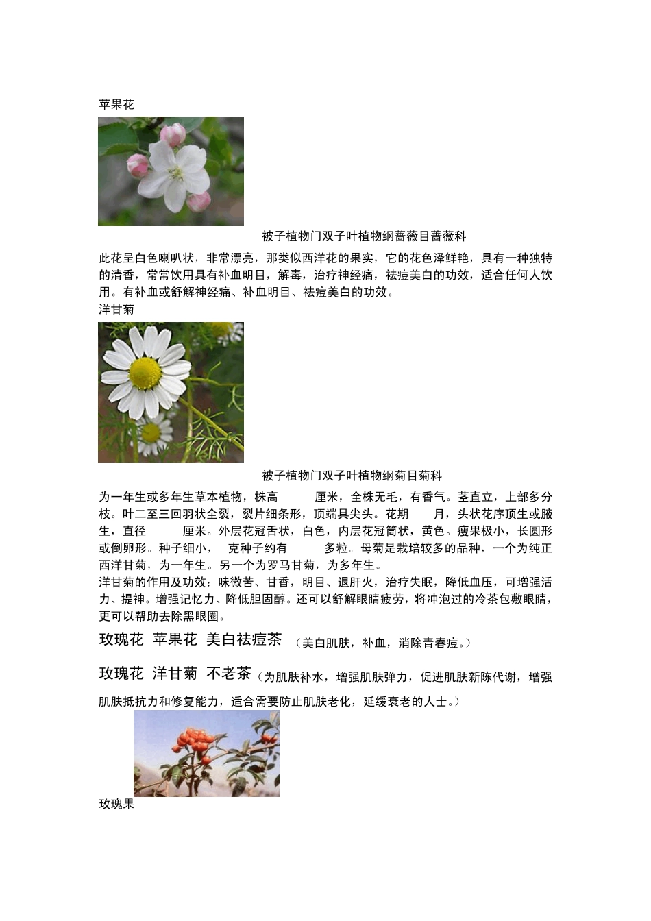 常见药用植物介绍_第3页