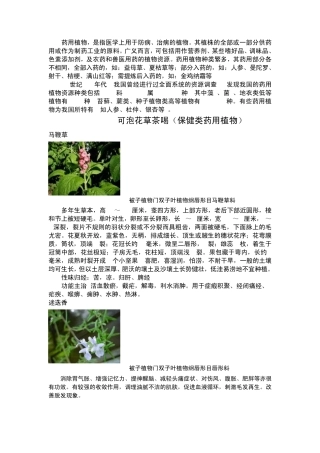 常见药用植物介绍