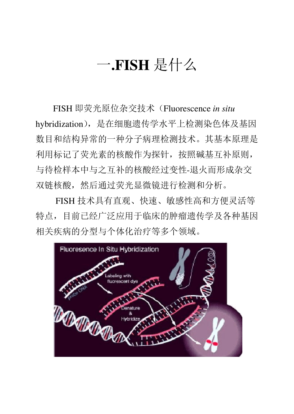 常见血液肿瘤FISH检测小册_第2页