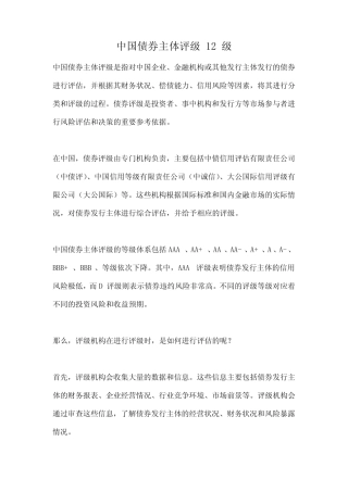 中国债券主体评级 12级