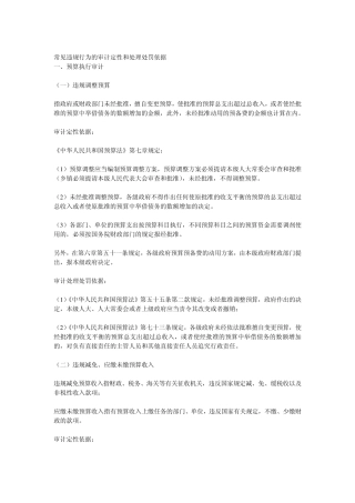 常见违规行为的审计定性和处理处罚依据