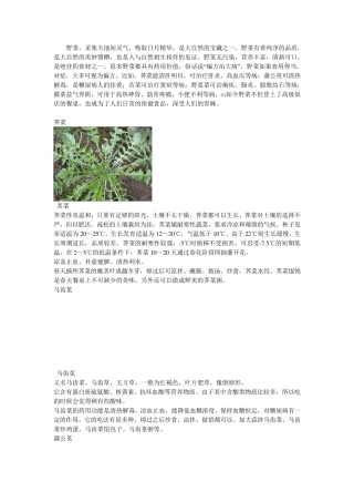 常见野菜功效及种植习性