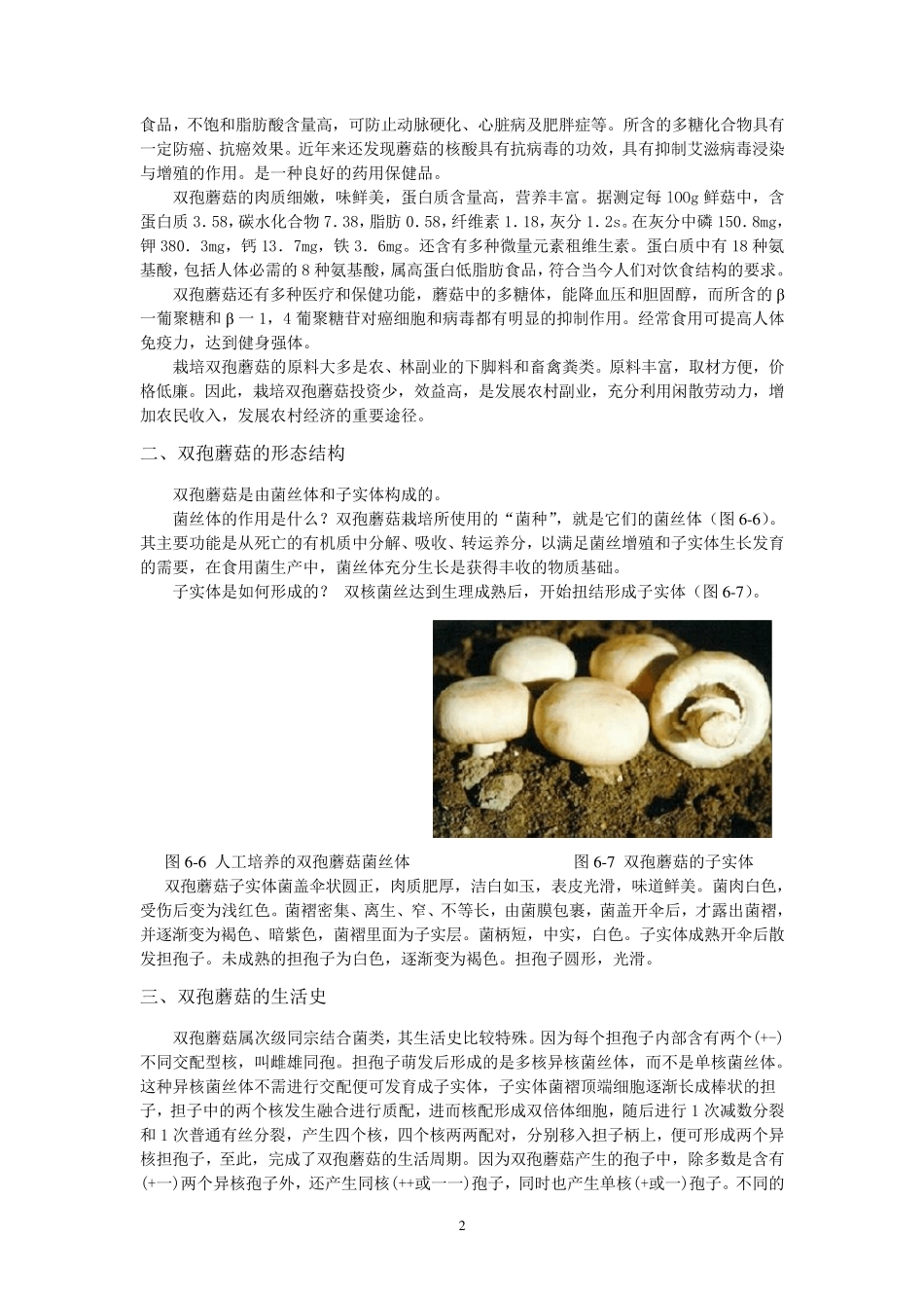 常见食用菌栽培技术_第2页