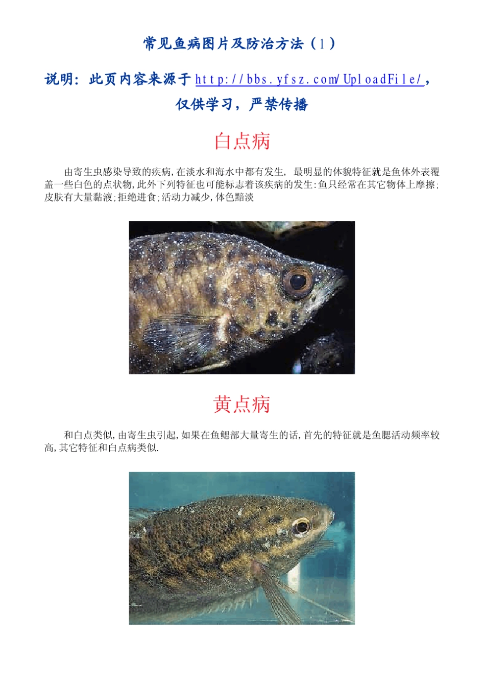 常见鱼病图片及防治方法(上)_第1页