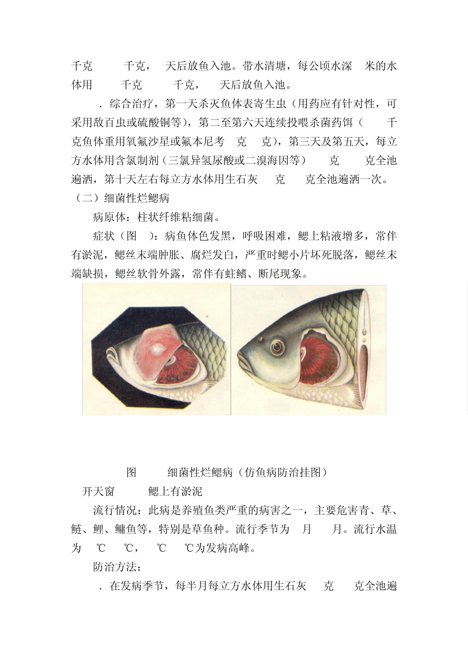 常见鱼病的防治整合_第2页