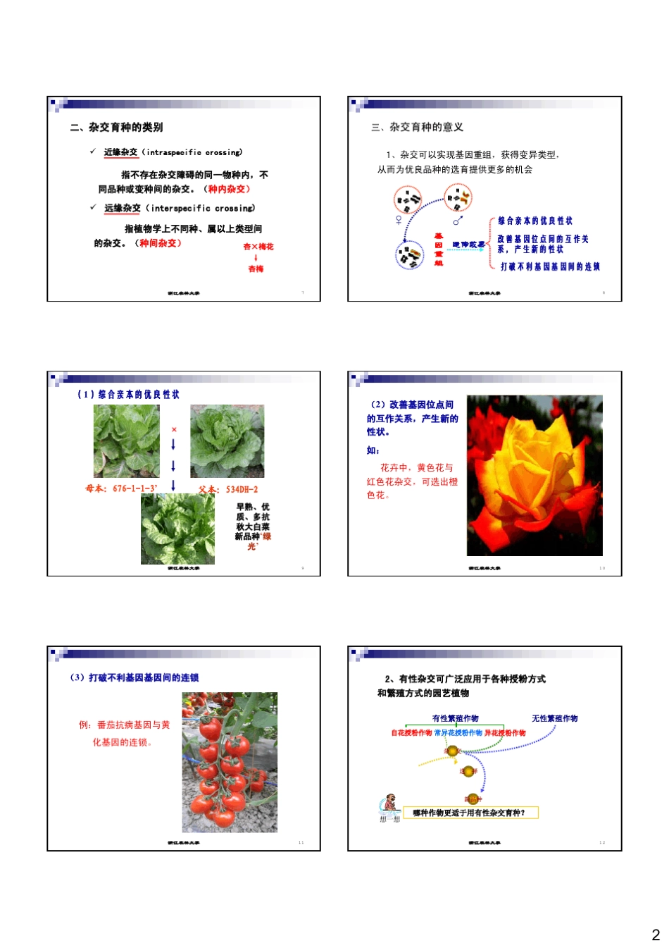 常规杂交育种_第2页