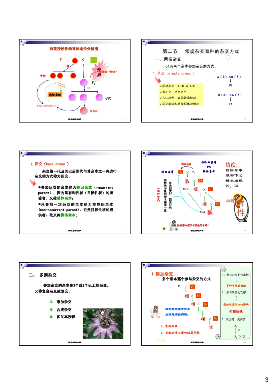 常规杂交育种_第3页