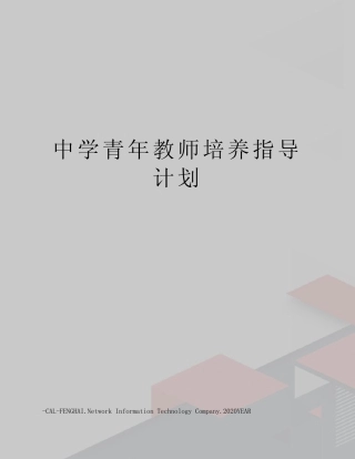 中学青年教师培养指导计划