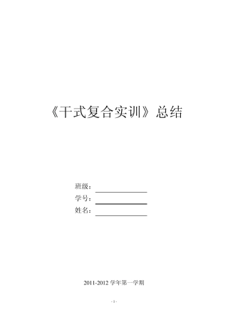 干式复合报告