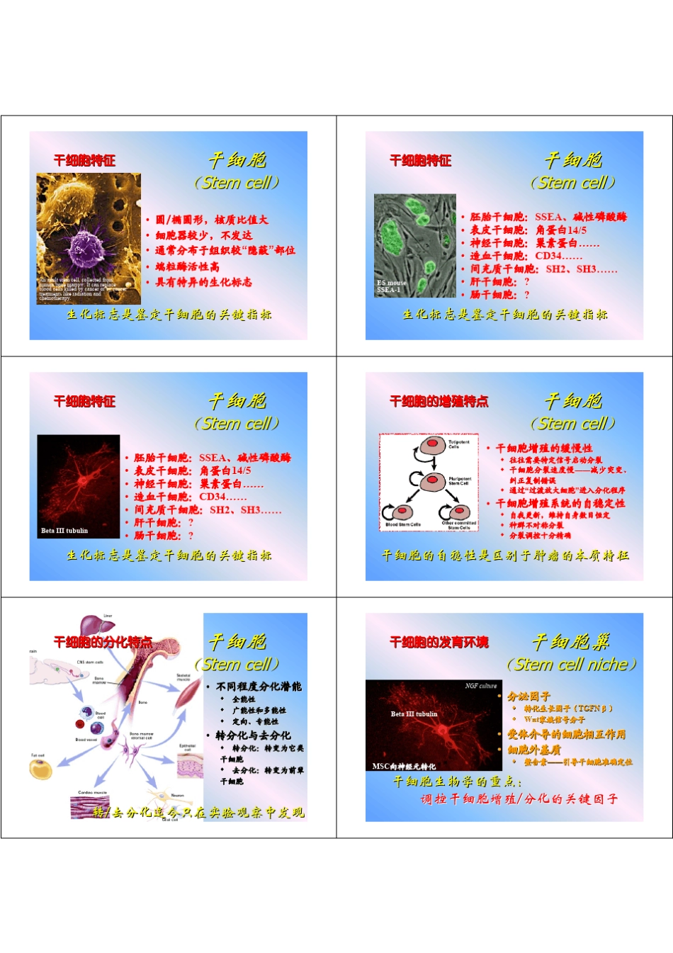 干细胞与再生医学_第2页