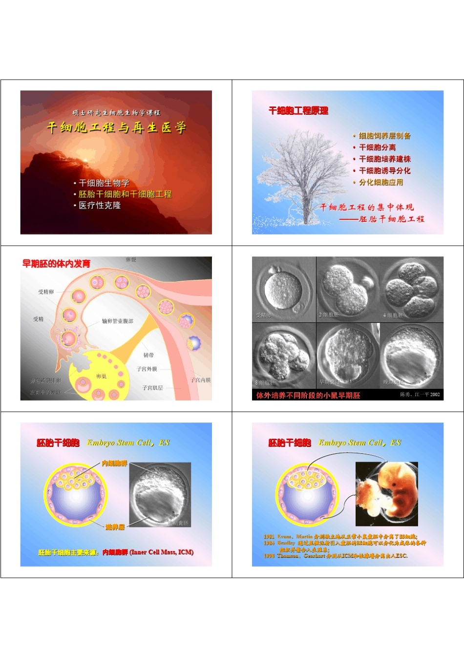干细胞与再生医学_第3页