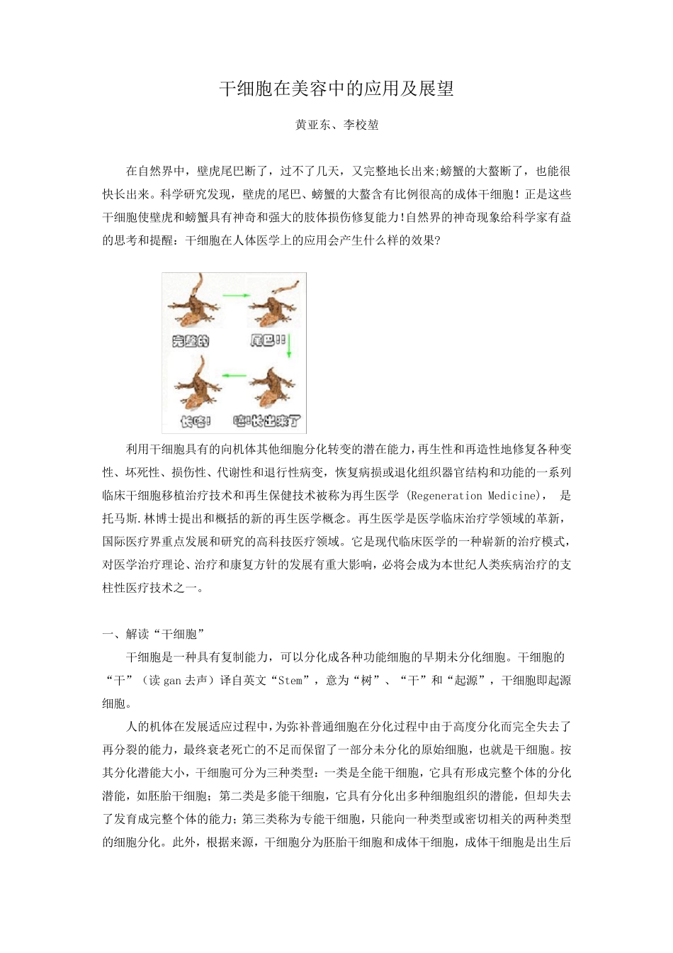 干细胞在美容中的应用及展望_第1页